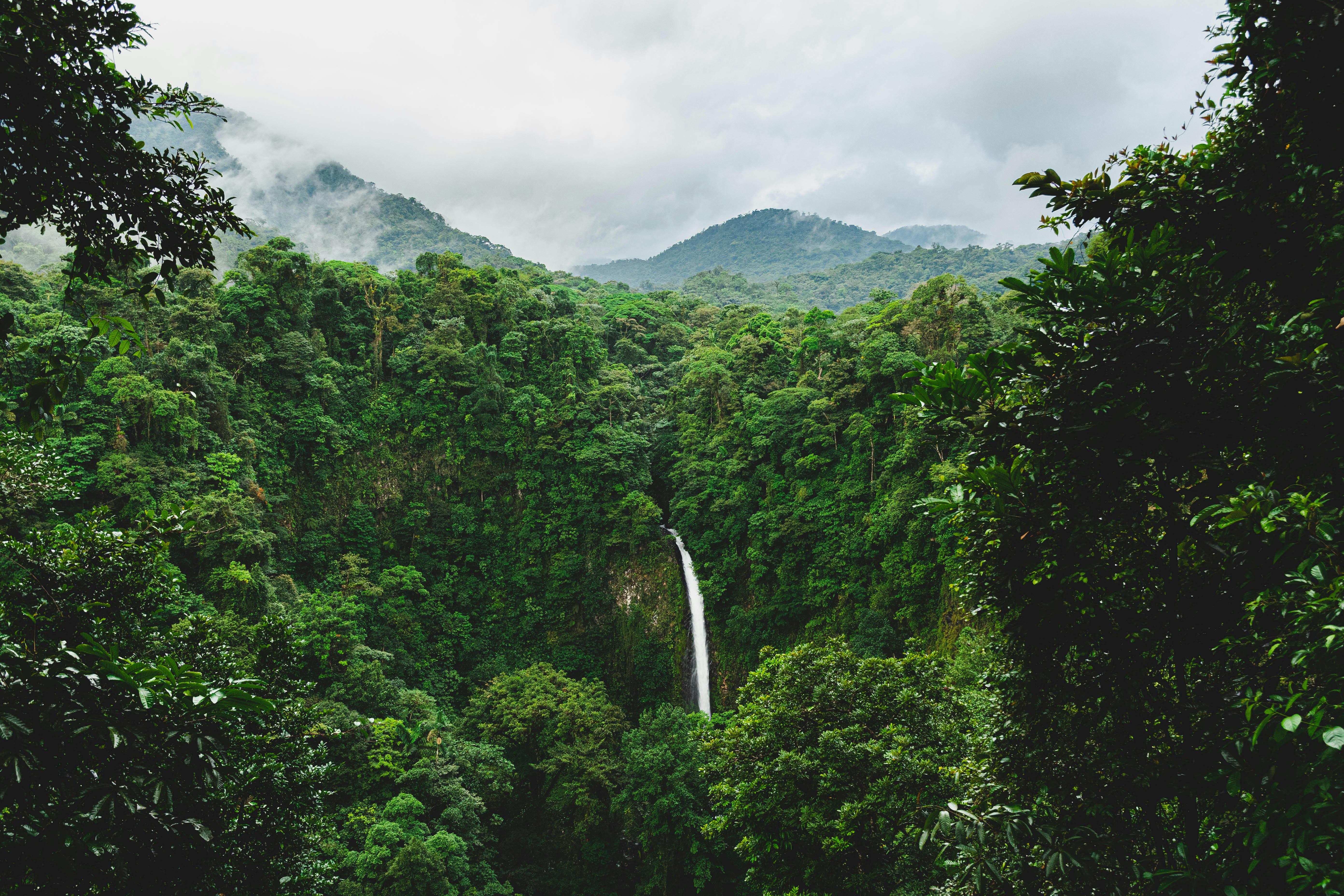 Costa Rica Waterfall and Greenery Retreat